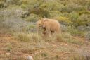 DSC02538.JPG