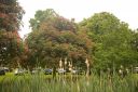 IMGP0336.JPG