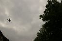 IMGP0464.JPG