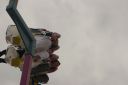 IMGP0566.JPG