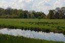 IMGP0307.JPG