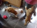 DSC00351.JPG