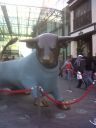 IMG00085-20111207-1329.jpg
