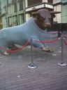 IMG00086-20111207-1329.jpg