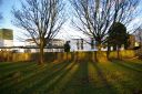 IMGP0355.JPG