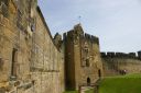 IMGP0642.JPG