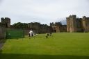 IMGP0644.JPG