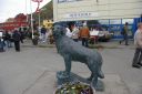 IMGP0999.JPG