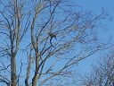 DSC_0245.jpg