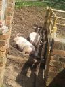 20140515_141002.jpg
