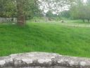20140516_141133.jpg