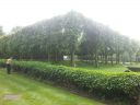20140521_145324.jpg