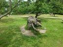20140625_142430.jpg
