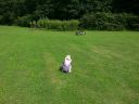 20140625_144854.jpg