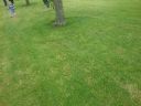 20140602_133538.jpg