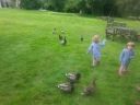 20140602_145100.jpg