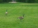 20140602_145152.jpg