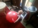 20140604_105542.jpg