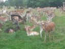 20140727_130811.jpg