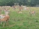 20140727_130813.jpg