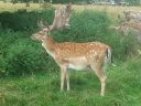 20140727_130817.jpg