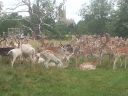 20140727_130942.jpg