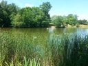 20140717_130914.jpg