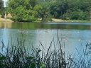 20140717_130931.jpg