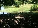 20140717_131236.jpg