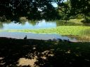 20140717_131247.jpg