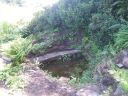 20140717_131637.jpg