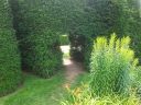 20140712_145950.jpg