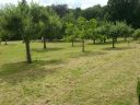 20140712_150105.jpg