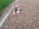 20140725_164226.jpg