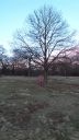 20150116_160703.jpg