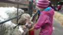 20150302_111622.jpg