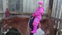 20150302_123101.jpg
