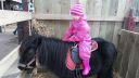 20150302_134903.jpg