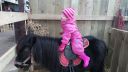 20150302_134906.jpg