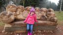 20150317_114424.jpg