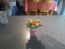 20150624_132541.jpg