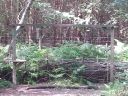 20150719_161449.jpg