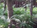 20150719_161539.jpg