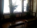 20160522_112634.jpg