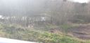 20220109_120552.jpg