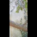 20220806_175212.jpg