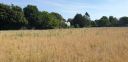 20220808_095653.jpg