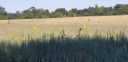 20220808_100252.jpg