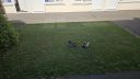 Filename=20250506_165726.jpg
Filesize=907KiB
Dimensions=1243x700
Date added=F d, Y 20250506_165726.jpg