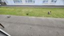Filename=20250508_093449.jpg
Filesize=882KiB
Dimensions=1243x700
Date added=F d, Y 20250508_093449.jpg